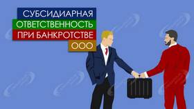 Чем отвечает ООО по долгам в Детский мир