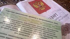 Что делать при утере договора в Детский мир