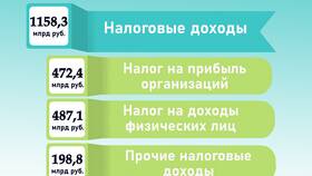 Что не входит в налоговые доходы бюджета в Детский мир