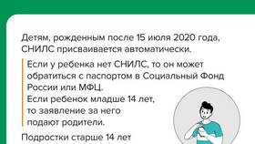 Что нужно чтобы оформить СНИЛС в Детский мир