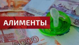 Что нужно для выплаты алиментов в Детский мир