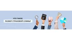 Что такое размер страховой суммы в Детский мир