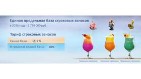 Что включают в себя страховые взносы в Детский мир