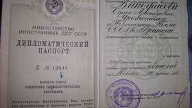 Что значит российский паспорт в Детский мир
