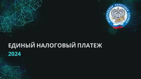 Единый налоговый платеж ОПС: что это такое в Детский мир