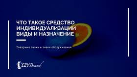 Фирменное наименование как средство индивидуализации юридического лица в Детский мир