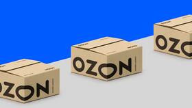 Как начать торговать на Ozon: пошаговая инструкция в Детский мир