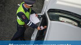 Как обжаловать штраф ГИБДД через официальный сайт в Детский мир