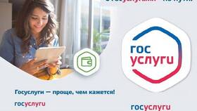 Как оформить инвалидность через Госуслуги в Детский мир