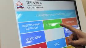Как получить дубликат СНИЛС через Госуслуги в Детский мир