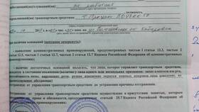 Как получить протокол ГИБДД в Детский мир