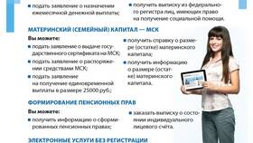 Как получить выписку из СФР через Госуслуги в Детский мир