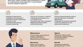 Как правильно подать заявление в страховую компанию в Детский мир