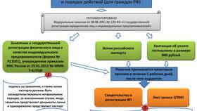 Как правильно заполнить заявление на регистрацию ИП