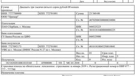 Как правильно заполнять платежное поручение по взносам в Детский мир