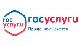 Как проверить статус услуги на портале Госуслуги в Детский мир