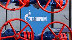 Как работают акции Газпрома в Детский мир
