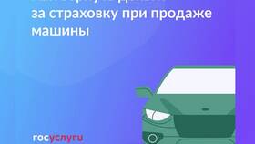 Как расторгнуть каско и вернуть деньги в Детский мир
