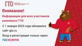 Как войти в Госуслуги в Детский мир