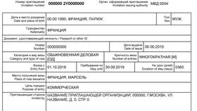 Как выглядит виза иностранного гражданина в Детский мир