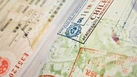 Как зарегистрировать визу в Детский мир