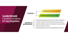 Как зарегистрировать земельный участок в ЕГРН в Детский мир
