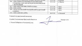 Код 102 Триколор: авторизация - что делать в Детский мир