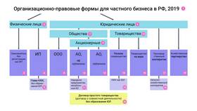 Общество с ограниченной ответственностью как форма организации бизнеса в Детский мир