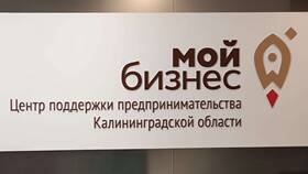 Оказание услуг как предпринимательская деятельность