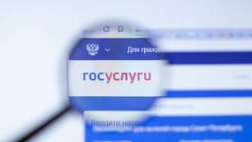 Почему СНИЛС не проходит проверку на Госуслугах в Детский мир