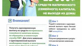 Почему в Пенсионном фонде может отсутствовать информация о стаже в Детский мир