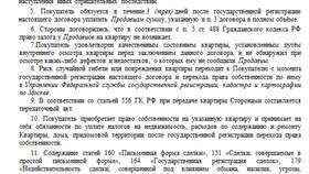 Содержание договора купли-продажи в Детский мир