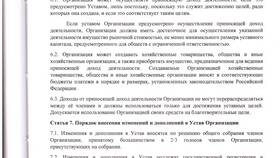 Уставные документы ООО: что это в Детский мир