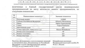 Выписка и лист записи ЕГРИП: основные отличия в Детский мир