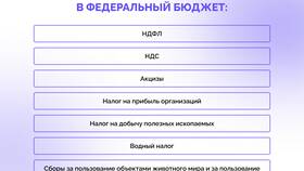 Зачем государству необходимы налоги в Детский мир
