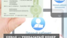 Зачем на работу требуют паспорт и СНИЛС в Детский мир