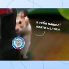 Налоги и платежи самозанятых в 2025 году