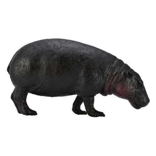 Фигурка Карликовый бегемот L Collecta 88686b в Детский мир