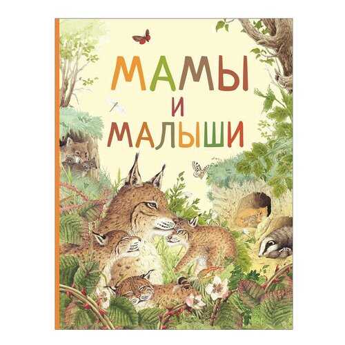 Книга Росмэн Удивительный мир животных, Мамы и малыши в Детский мир