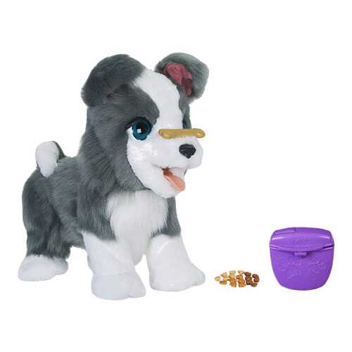 Интерактивное животное Hasbro Furreal Friends Щенок Хаски E0384 в Детский мир