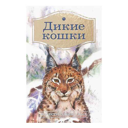 Дикие кошки в Детский мир