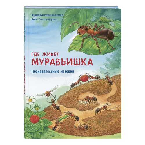 Где Живет Муравьишка в Детский мир
