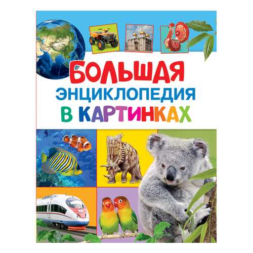 Книжка Росмэн Большая энциклопедия в картинках в Детский мир