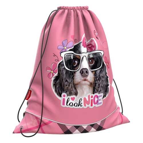 Мешок для обуви ErichKrause 365x440мм Clever Dog в Детский мир
